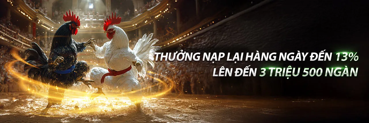Sân đấu đá gà trực tuyến sôi động tại 8bet nhà cái