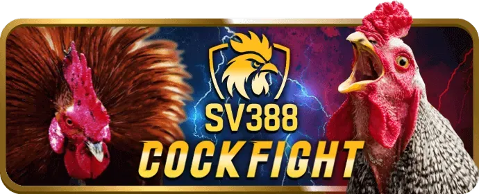 Đối tác tiếp thị liên kết 8bet nhà cái